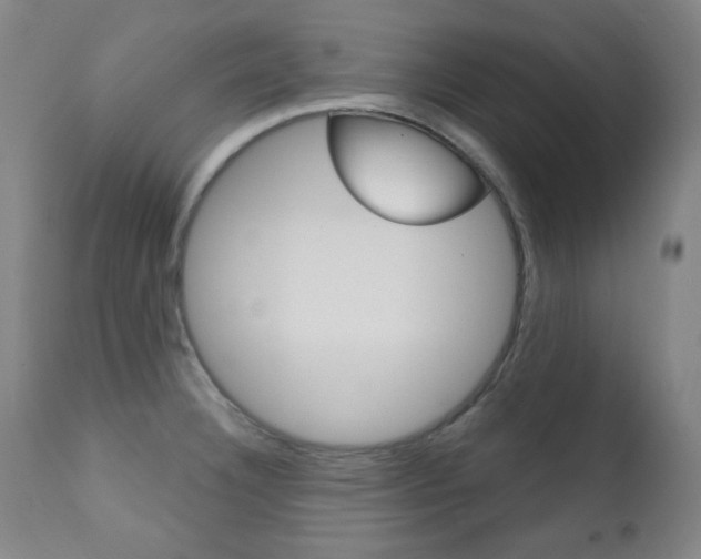 X0000111381332200907100928