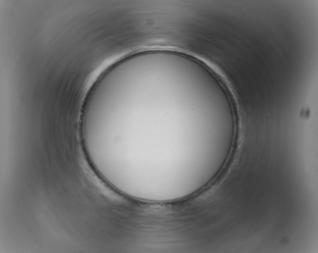 X0000111381333200907100928