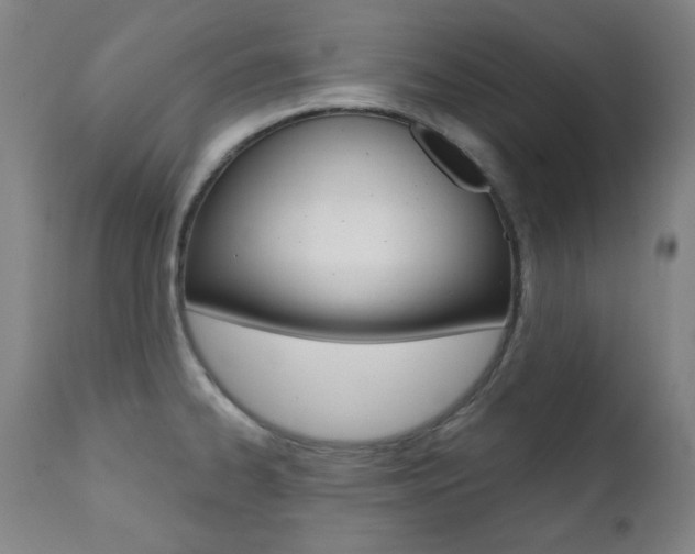 X0000111381334200907100928