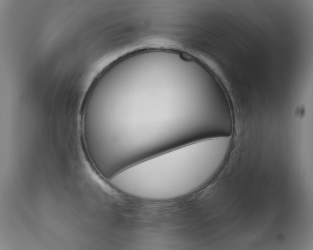 X0000111381335200907100928