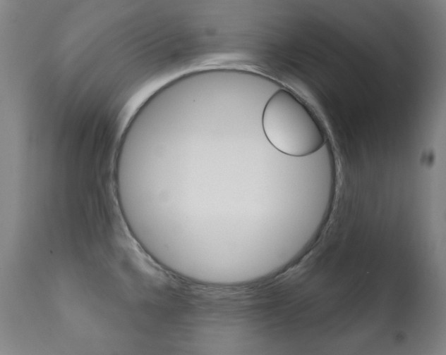 X0000111381336200907100928
