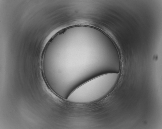 X0000111381339200907100928