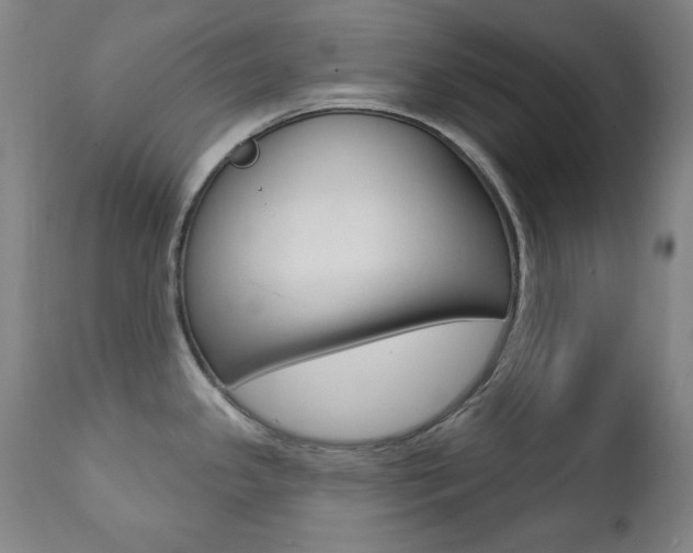 X0000111381341200907100928