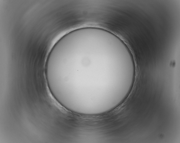 X0000111381342200907100928