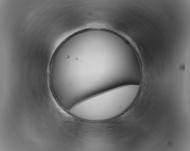 X0000111381343200907100928