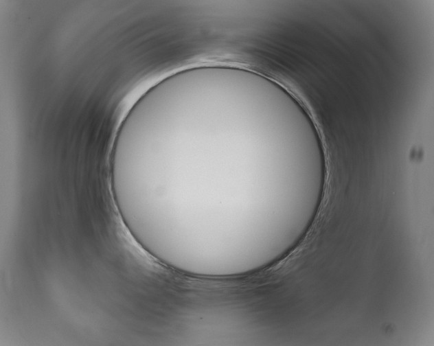 X0000111381344200907100928