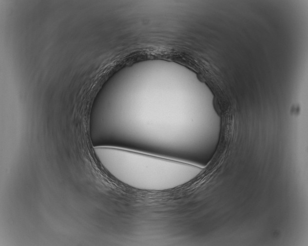 X0000111381345200907100928