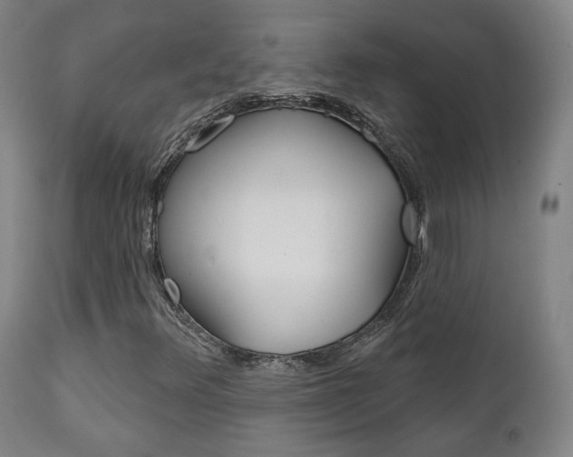 X0000111381348200907100927
