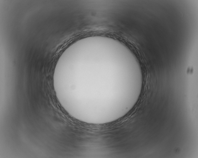 X0000111381349200907100927