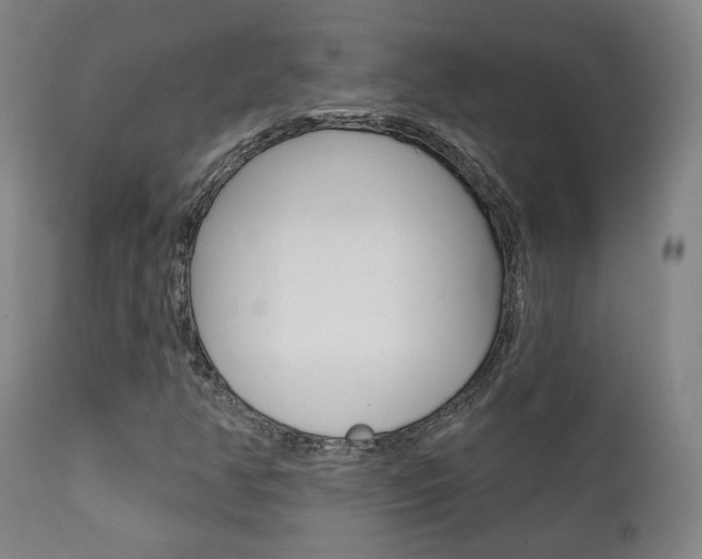 X0000111381350200907100927