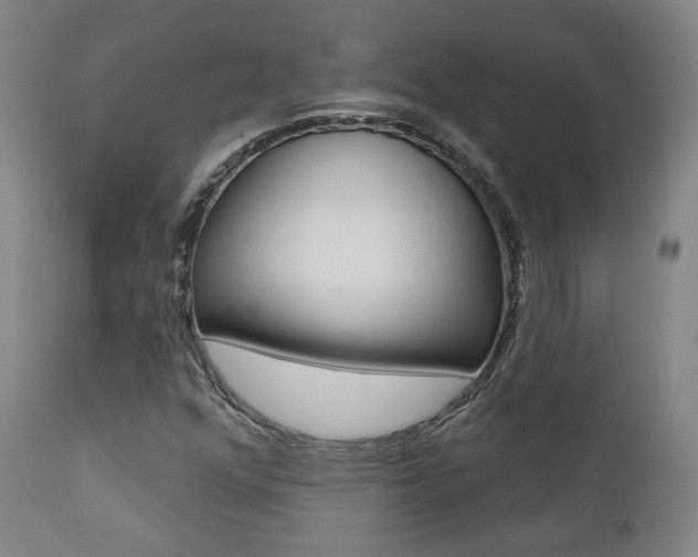 X0000111381352200907100927
