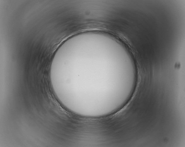 X0000111381353200907100927