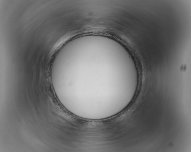 X0000111381354200907100927
