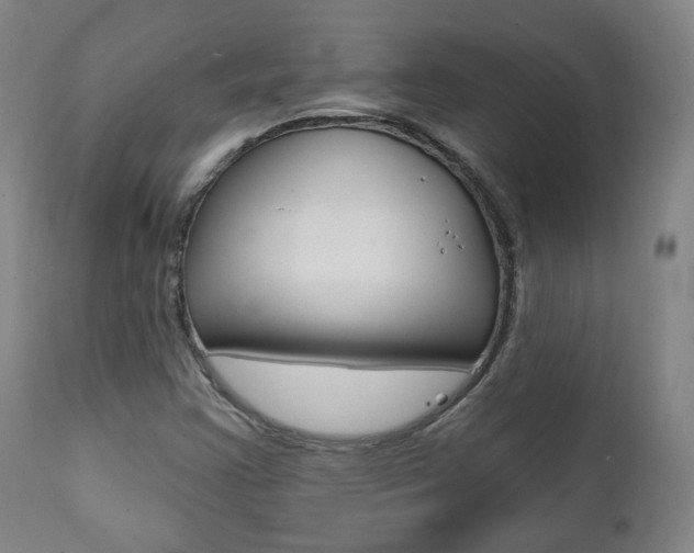 X0000111381355200907100927