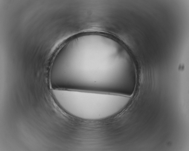 X0000111381356200907100927