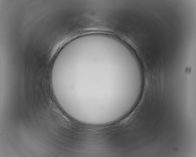 X0000111381357200907100927