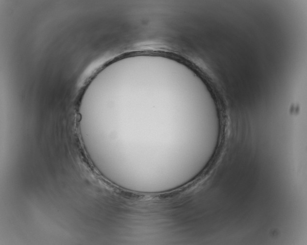 X0000111381358200907100927