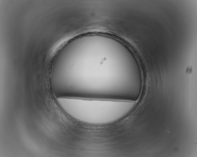 X0000111381359200907100927