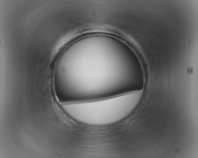 X0000111381360200907100927