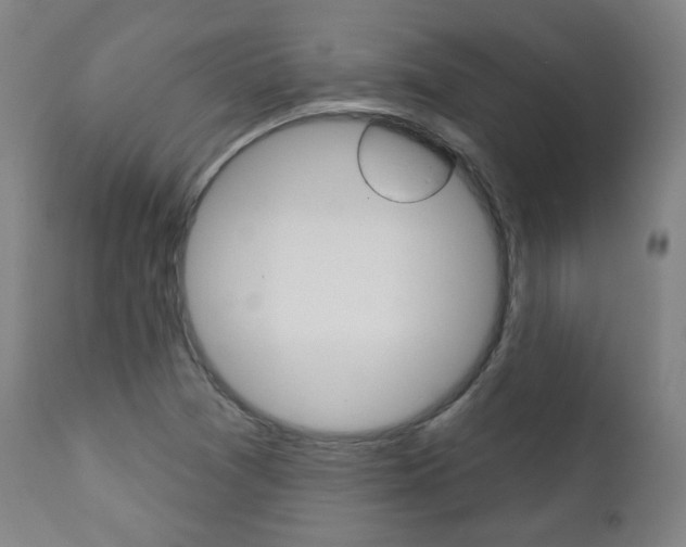 X0000111381361200907100927