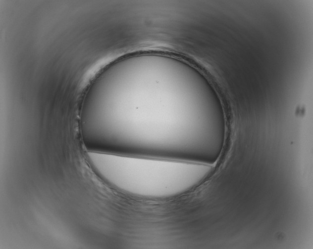 X0000111381363200907100927