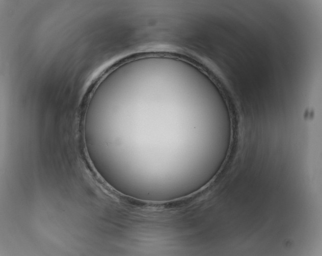 X0000111381364200907100927