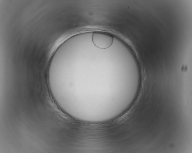 X0000111381365200907100927