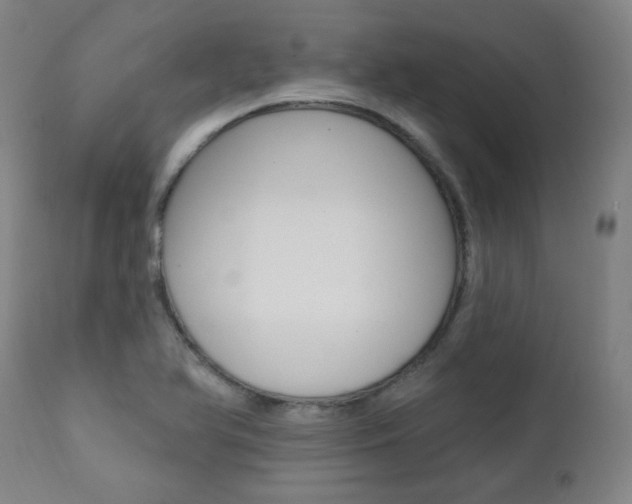 X0000111381366200907100927