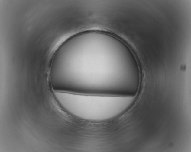 X0000111381367200907100927