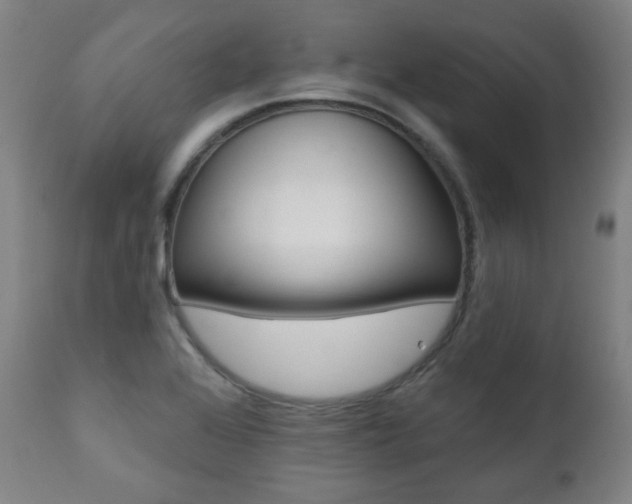 X0000111381368200907100927