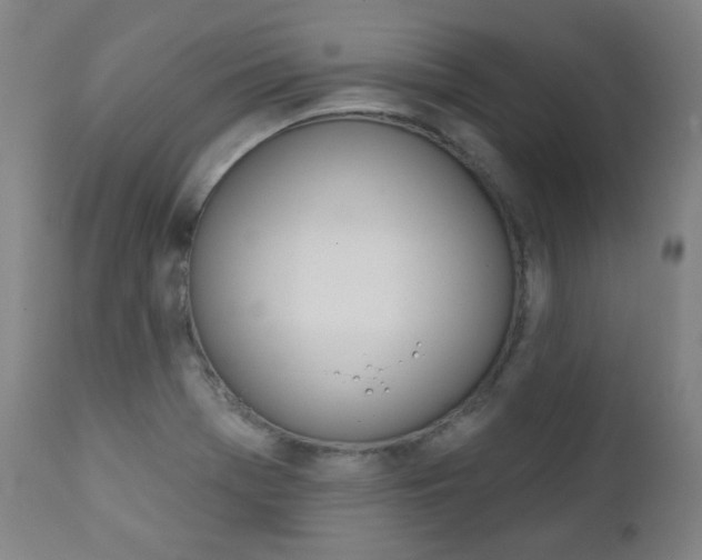 X0000111381369200907100927