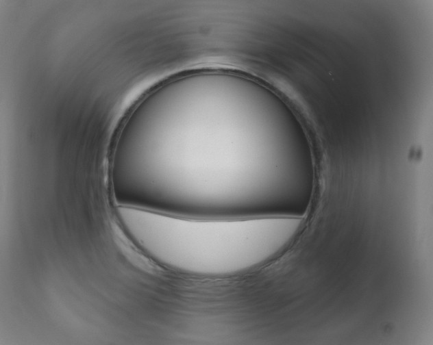 X0000111381372200907100927