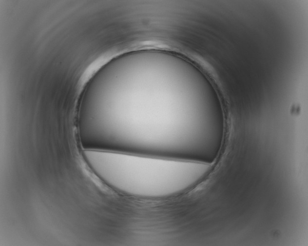 X0000111381373200907100927