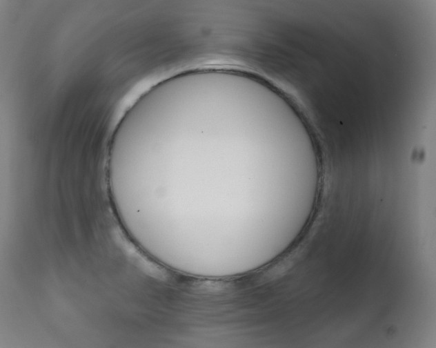 X0000111381374200907100927