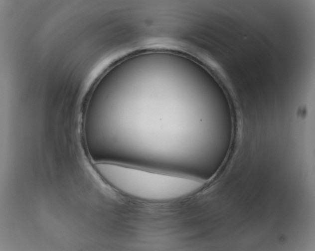 X0000111381376200907100927