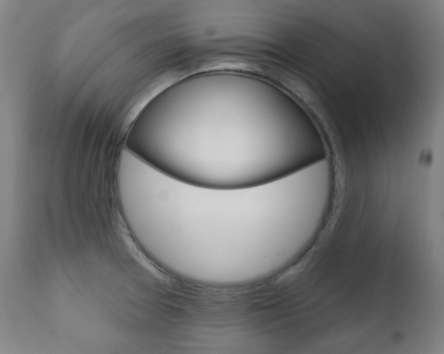 X0000111381377200907100927