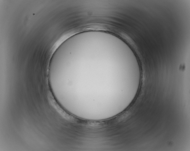 X0000111381378200907100927