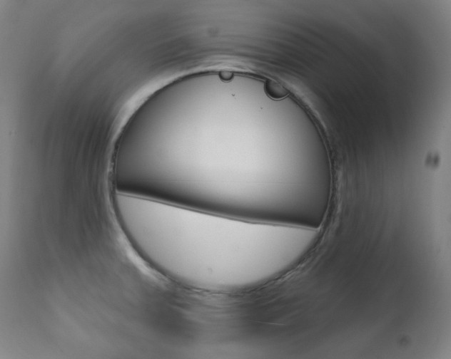 X0000111381379200907100927