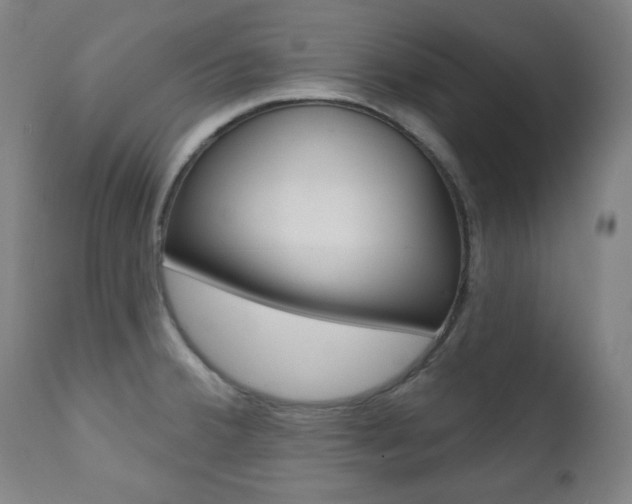 X0000111381380200907100927
