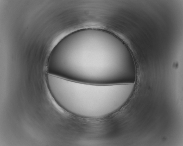 X0000111381383200907100927