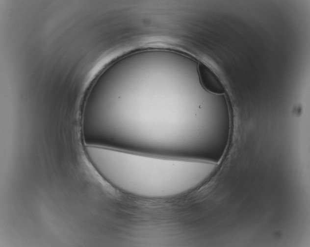 X0000111381384200907100927