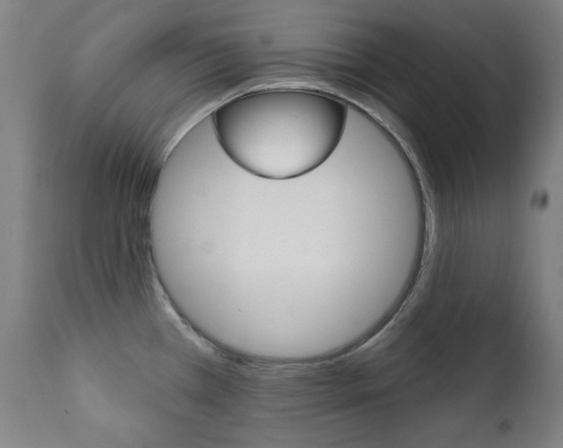 X0000111381385200907100927