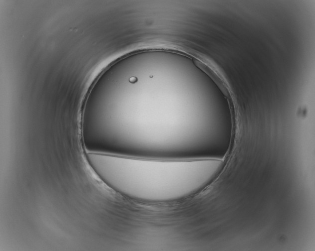 X0000111381388200907100927