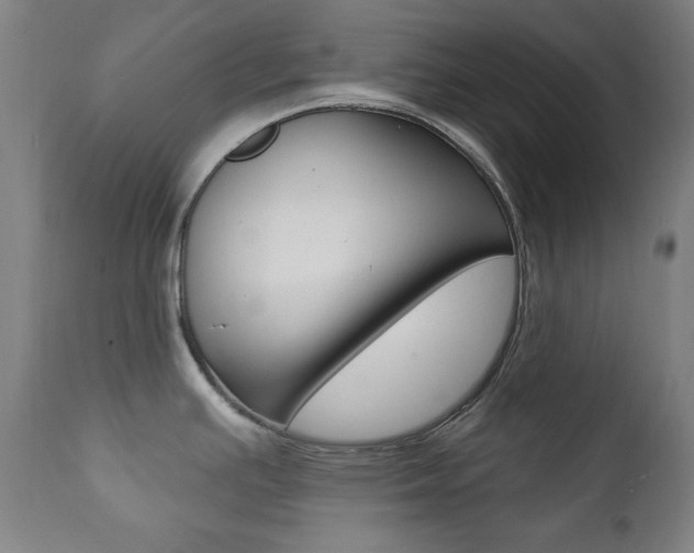 X0000111381391200907100927