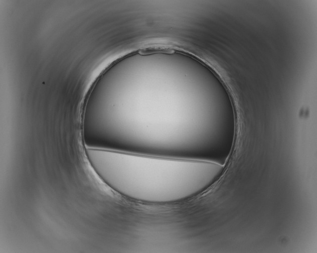 X0000111381392200907100927
