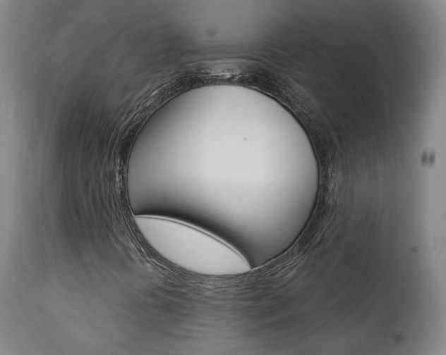 X0000111381394200907100926