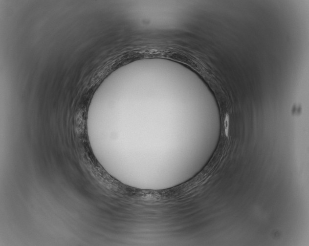 X0000111381395200907100926
