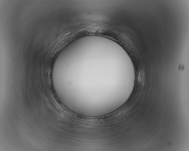 X0000111381396200907100926