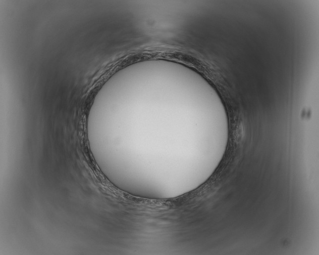 X0000111381397200907100926