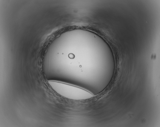 X0000111381398200907100926